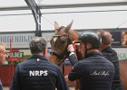 NRPS 220325-2191